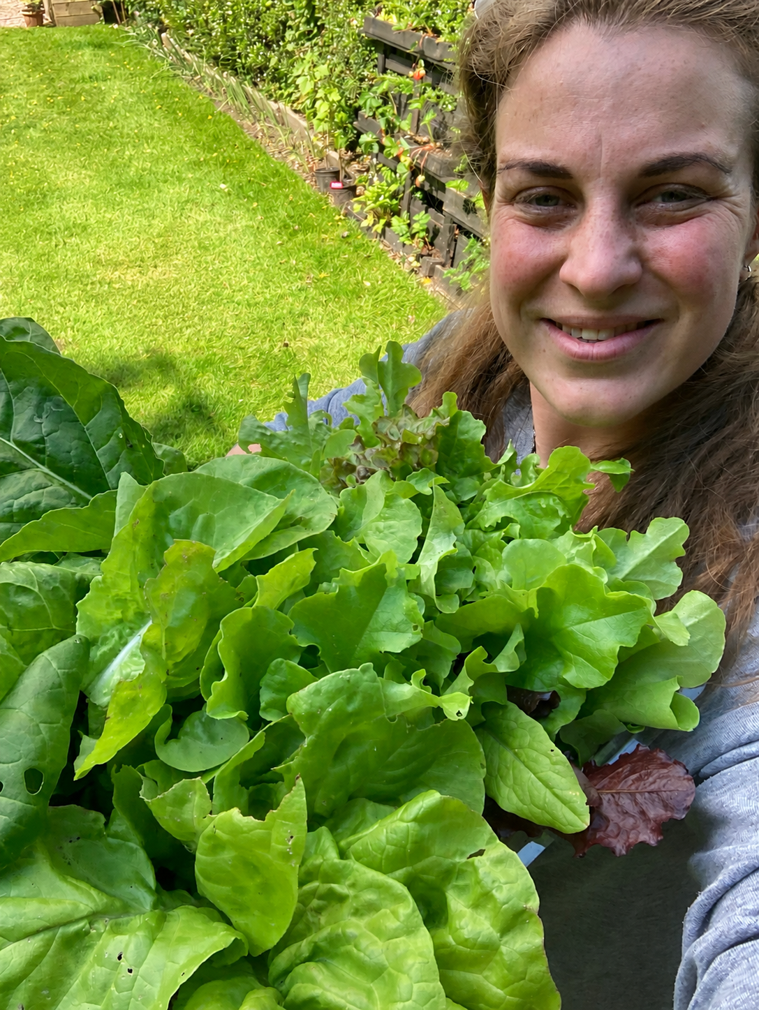 Mixed Lettuce grown by Gabriela's Garden